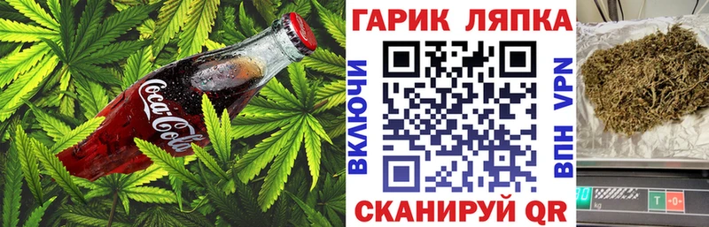 Canna-Cookies конопля Карабулак