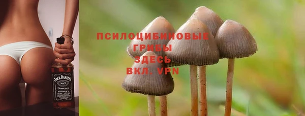 соль ск Аркадак