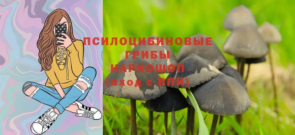 соль ск Аркадак