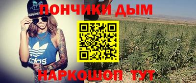 PSILOCYBIN Железногорск