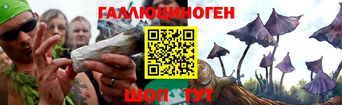 Псилоцибиновые грибы Psilocybe  Вход с VPN  Карабулак 