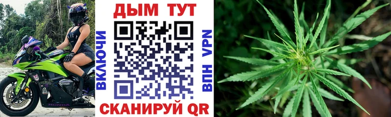 Бошки Шишки тримм  закладка  это как зайти  Карабулак 